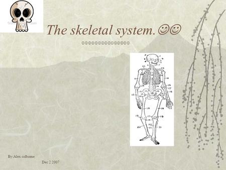 The skeletal system. By:Alex colborne Dec 2 2007.