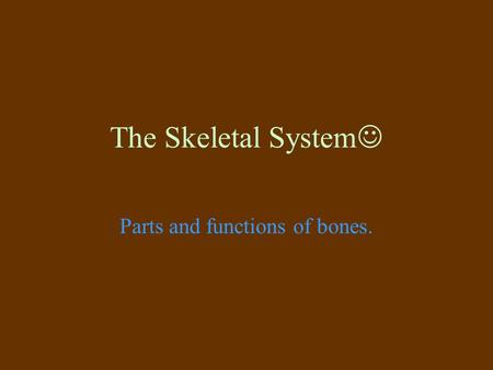The Skeletal System Parts and functions of bones..