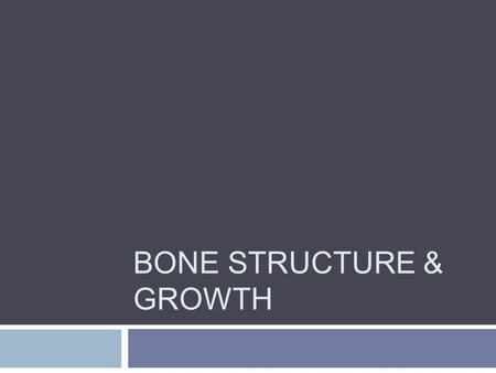 BONE STRUCTURE & GROWTH. Anatomy of a Long Bone  Epiphysis – ends  Mostly spongy bone  Diaphysis – shaft  Made of compact bone  Center is medullary.