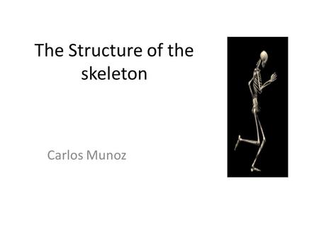 The Structure of the skeleton Carlos Munoz. Session aims To understand the definitions for the ‘axial skeleton’ and ‘appendicular skeleton.’ To identify.