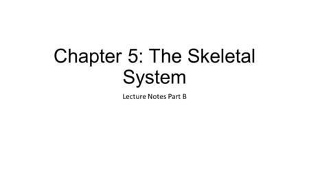 Chapter 5: The Skeletal System Lecture Notes Part B.