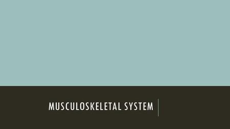 MUSCULOSKELETAL SYSTEM. SKELETAL SYSTEM 206 bones in the human body.