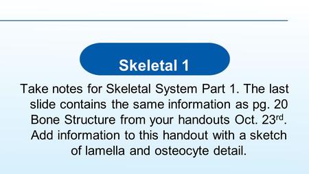 Skeletal 1 Take notes for Skeletal System Part 1. The last slide contains the same information as pg. 20 Bone Structure from your handouts Oct. 23rd. Add.
