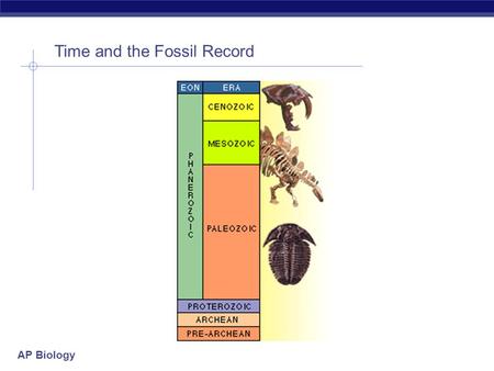 AP Biology Time and the Fossil Record AP Biology Where are fossils found?  Sedimentary Rock made of sand, dust, mud= Sandstone, Limestone and Shale.