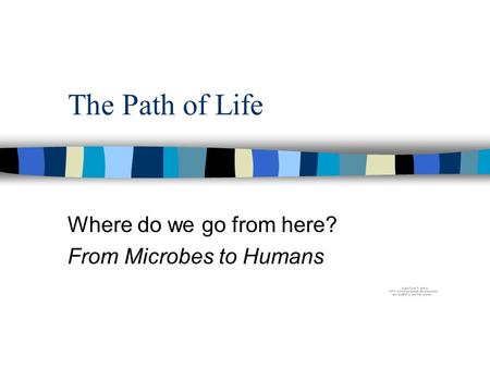 The Path of Life Where do we go from here? From Microbes to Humans.