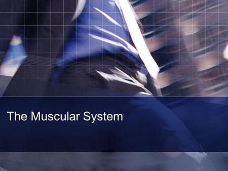 The Muscular System. Functions Stabilize joints with their tendons Produce movement Produce heat to maintain body temperature muscle – an organ that can.