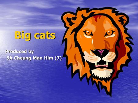 Big cats Big cats Produced by 5A Cheung Man Him (7) 5A Cheung Man Him (7)
