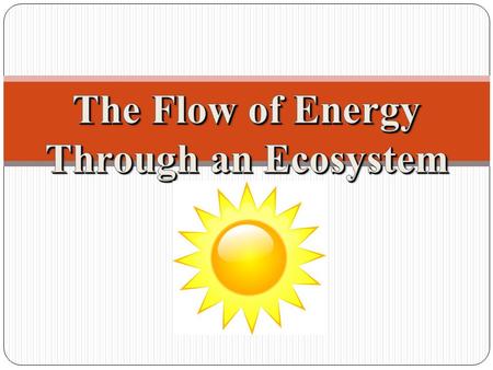 One-Way Energy Flow: All energy on earth comes from the _______ (as high quality energy) * Moves through organisms by ______________________ * Becomes.