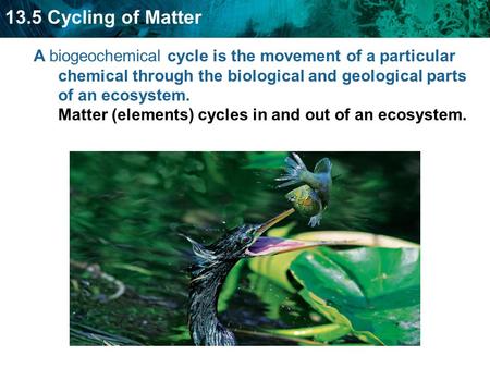 13.5 Cycling of Matter A biogeochemical cycle is the movement of a particular chemical through the biological and geological parts of an ecosystem. Matter.