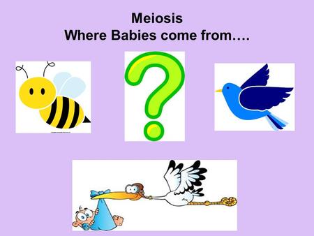 Meiosis Where Babies come from….. Movie Match Same story but different versions Copies of those versions that are identical to their original.