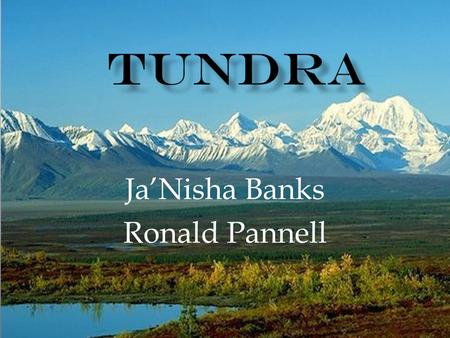 Ja’Nisha Banks Ronald Pannell.  Arctic tundra is located in the northern hemisphere, extending south to the coniferous forests of the taiga  average.