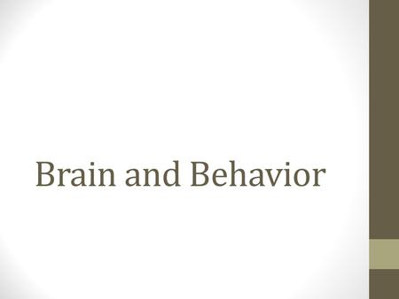 Brain and Behavior.
