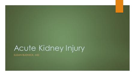 Acute Kidney Injury SUSAN BUDNICK, MD. What is an Acute Kidney Injury?  AKI is a heterogeneous group of conditions that are all characterized by an acute.