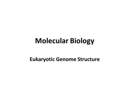 Molecular Biology Eukaryotic Genome Structure. The human genome: nuclear and mitochondrial components.