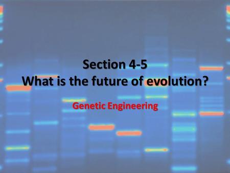 Section 4-5 What is the future of evolution? Genetic Engineering.