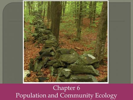 Chapter 6 Population and Community Ecology.  Population size- the total number of individuals within a defined area at a given time.  Population density-