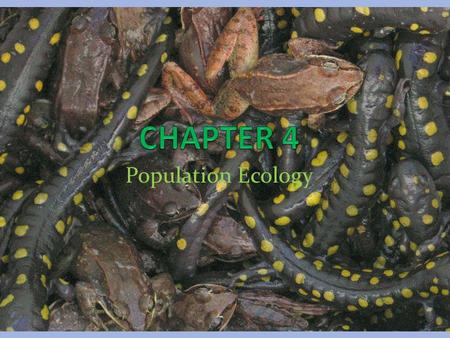 Population Ecology 4-1: Population Dynamics Populations are described as follows: Density Spatial distribution Growth rate Would an individual be considered.