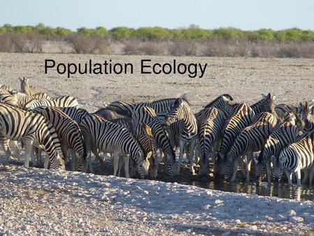Population Ecology. Population Essential Questions What factors influence populations in ecosystems? How do human population dynamics affect the world.