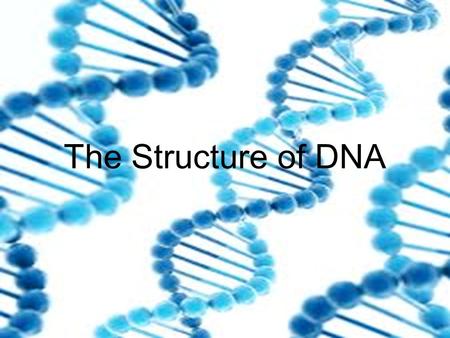 The Structure of DNA. DNA: The Genetic Material Mendel (1800’s) showed that traits are passed from parents to offspring.
