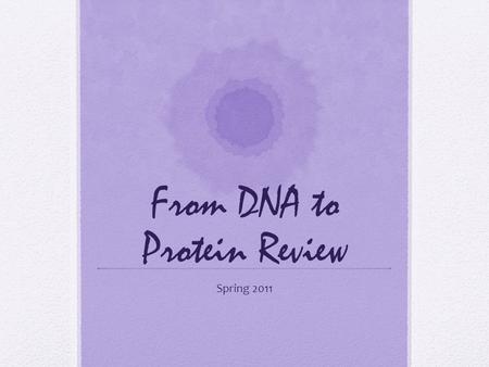 From DNA to Protein Review Spring 2011. 1 pt The units that make up DNA are called? nucleotides.