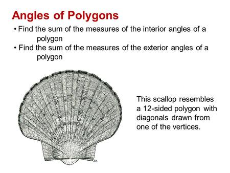 Angles of Polygons Find the sum of the measures of the interior angles of a polygon Find the sum of the measures of the exterior angles of a This scallop.