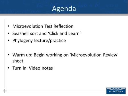 Agenda Microevolution Test Reflection