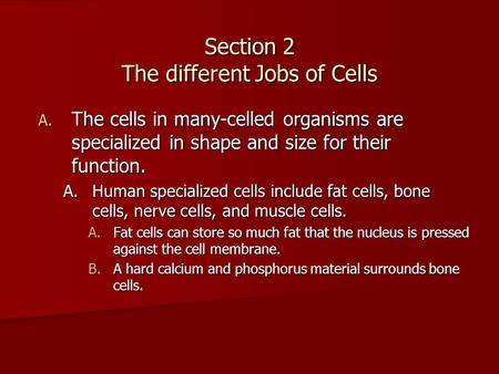 Section 2 The different Jobs of Cells A. The cells in many-celled organisms are specialized in shape and size for their function. A.Human specialized cells.
