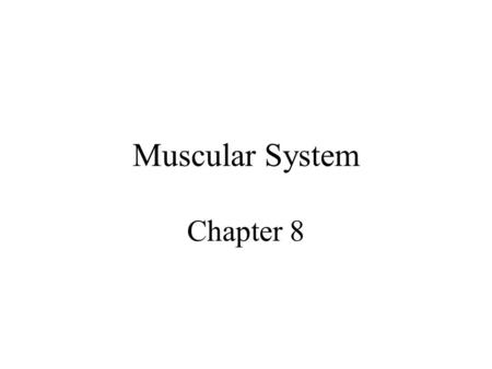 Muscular System Chapter 8. Introduction Muscles are responsible for movement –Contraction & relaxation Muscles make up 40 – 50 % of a human’s total body.