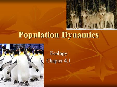 Population Dynamics Ecology Chapter 4.1. Principles of Population Growth A population is a group of organisms of the same species that live in a specific.