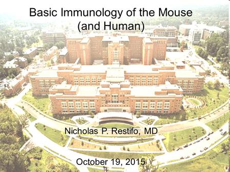 Basic Immunology of the Mouse (and Human) Nicholas P. Restifo, MD October 19, 2015.