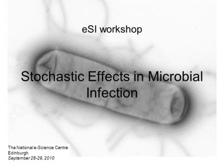 ESI workshop Stochastic Effects in Microbial Infection The National e-Science Centre Edinburgh September 28-29, 2010.