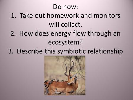 Do now: 1. Take out homework and monitors will collect. 2. How does energy flow through an ecosystem? 3. Describe this symbiotic relationship.