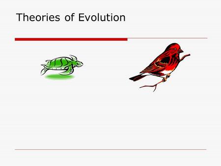 Theories of Evolution. Lamarck’s Explanation (1744-1829)  Hypothesized that similar species descended from the same common ancestor  Acquired traits.