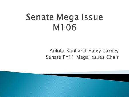 Ankita Kaul and Haley Carney Senate FY11 Mega Issues Chair.