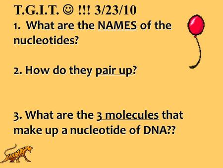 What are the NAMES of the nucleotides? T.G.I.T. !!! 3/23/10 1. What are the NAMES of the nucleotides? 2. How do they pair up? 3. What are the 3 molecules.