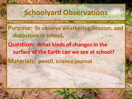 Schoolyard Observations Purpose : To observe weathering, erosion, and deposition at school. Question : What kinds of changes in the surface of the Earth.