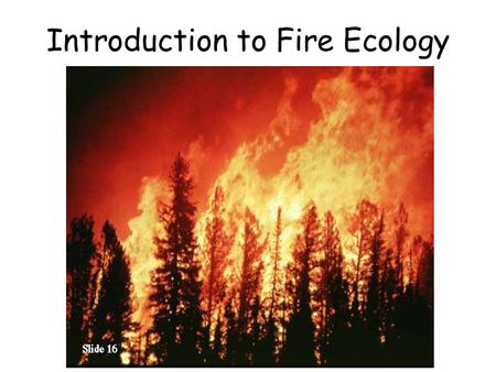 Introduction to Fire Ecology. Consider the statement: “Fire is bad” – What do you think? Why? – Can you think of examples of when fire is good and bad?