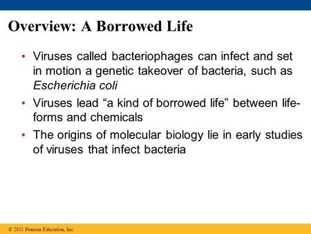 Overview: A Borrowed Life Viruses called bacteriophages can infect and set in motion a genetic takeover of bacteria, such as Escherichia coli Viruses lead.