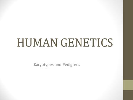 Karyotypes and Pedigrees