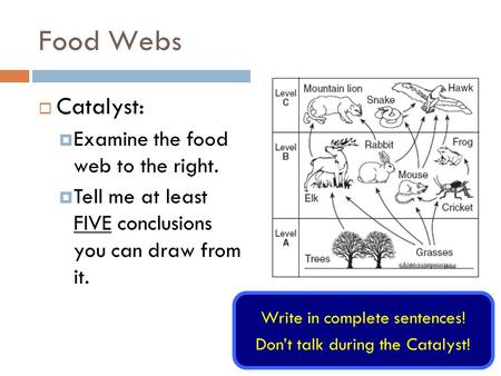 Food Webs Write in complete sentences! Don’t talk during the Catalyst!  Catalyst:  Examine the food web to the right.  Tell me at least FIVE conclusions.