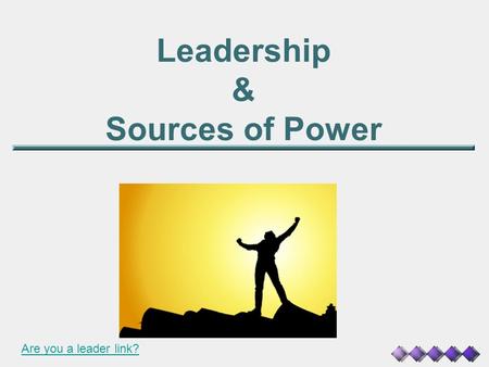 Leadership & Sources of Power Are you a leader link?
