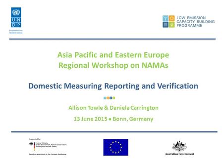 Asia Pacific and Eastern Europe Regional Workshop on NAMAs Domestic Measuring Reporting and Verification Allison Towle & Daniela Carrington 13 June 2015.