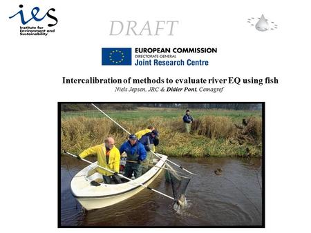 DRAFT Intercalibration of methods to evaluate river EQ using fish Niels Jepsen, JRC & Didier Pont, Cemagref.
