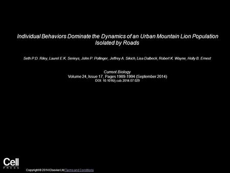 Individual Behaviors Dominate the Dynamics of an Urban Mountain Lion Population Isolated by Roads Seth P.D. Riley, Laurel E.K. Serieys, John P. Pollinger,