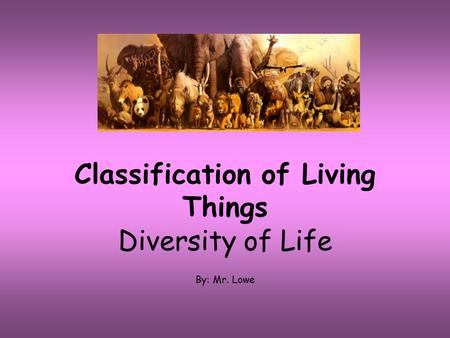 Classification of Living Things Diversity of Life By: Mr. Lowe.