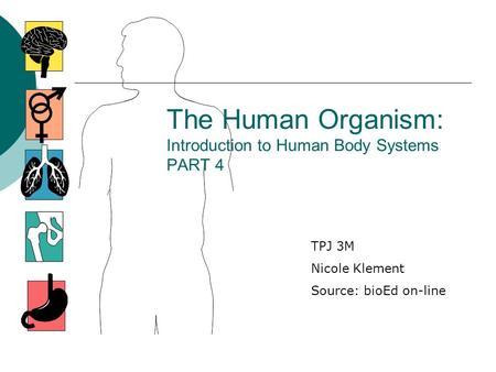 The Human Organism: Introduction to Human Body Systems PART 4