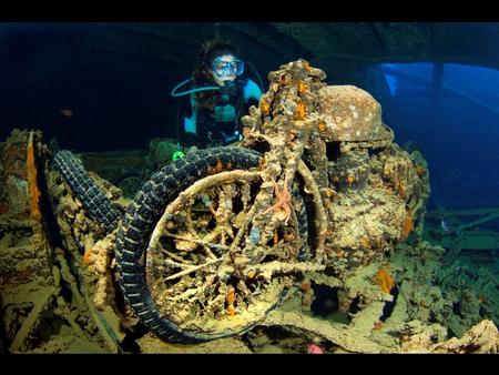 Photo captions and credit All photos © Alexander Mustard / Solent News & Photo Agency Photo 1 A diver examines a British motorbike inside the wreck.
