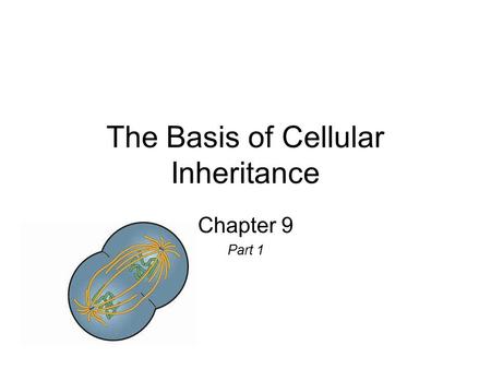 The Basis of Cellular Inheritance