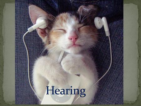 Hearing is the sense by which sound is understood.