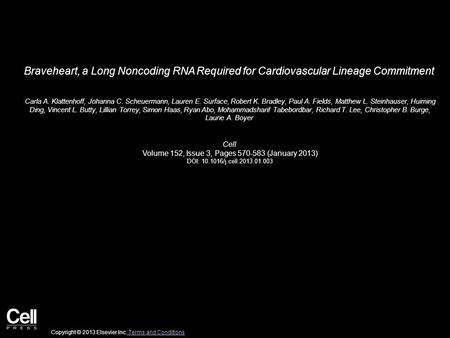 Braveheart, a Long Noncoding RNA Required for Cardiovascular Lineage Commitment Carla A. Klattenhoff, Johanna C. Scheuermann, Lauren E. Surface, Robert.
